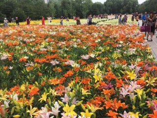 t_2018-07-03 12.46.18.jpg